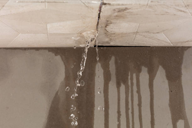 Professional Structural Drying technician working in Saugatuck, MI